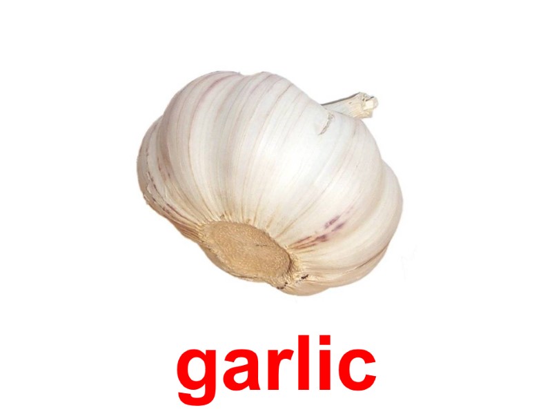 garlic